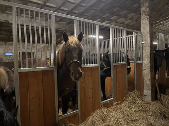 HŘÍBÁRNA NA EDENU - 3