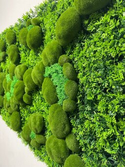 Umělý mechový obraz- příroda bez údržby - 3