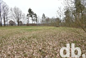 Prodej pozemky pro komerční výstavbu, 3 887 m2 - Cheb - Dřen - 3