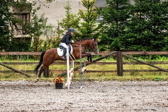 Náš Princ hledá svoji princeznu - 3