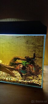 Zařízené akvárium - 3