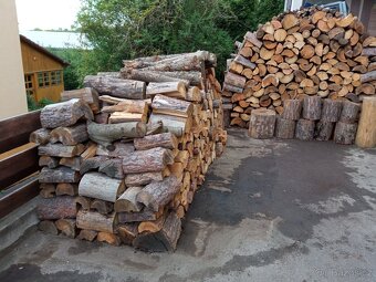 Palivové dřevo - 3