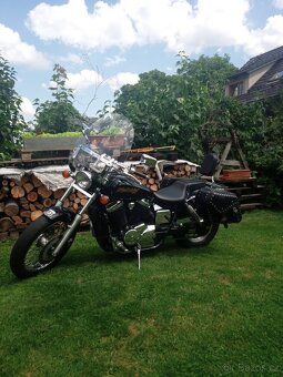 Honda Black Widow 750 DC - 3