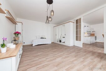 Vybavený byt 1+1 s klimatizací a zahradou - 3