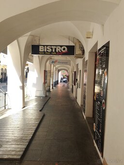 Pronájem obchodních prostor - 3