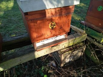 Včelí oddělky - 3