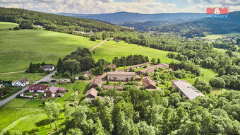 Prodej komerčního pozemku, 29 718 m², Dešenice - 3