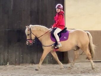 Prodej sportovního pony S - 3