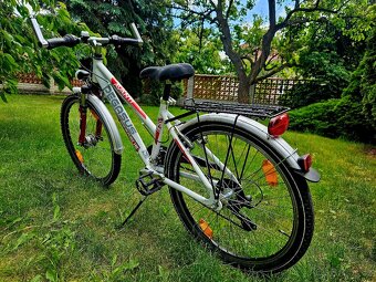 Detske hlinikove kolo Pegasus 24 - 3