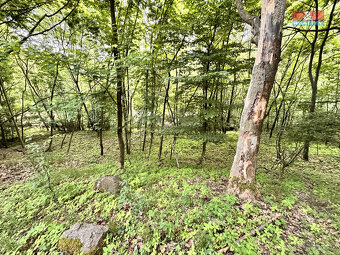 Prodej zahrady, 333 m², Horní Jiřetín - 3