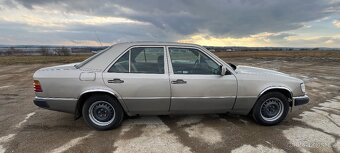 Mercedes w124 - 3