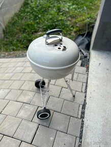 Gril weber - 3