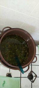 Konopná Mastička - 3