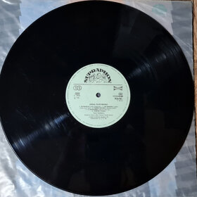 Anna Rustikano – Anna Rustikano 1987 LP deska, VG / VYPRANÁ - 3