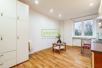 Pronájem bytu 1kk po kompletní rekonstrukci - 3