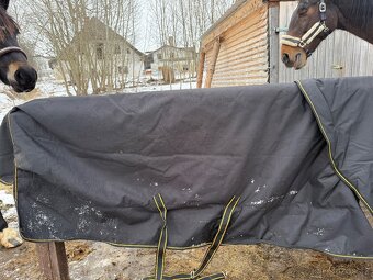 Výběhová deka Irish Bucas, 300g. 165cm - 3