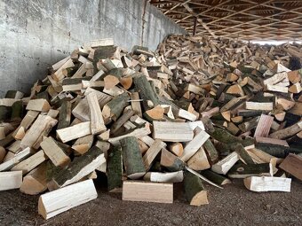 Palivové dřevo měkké,tvrdé - 3
