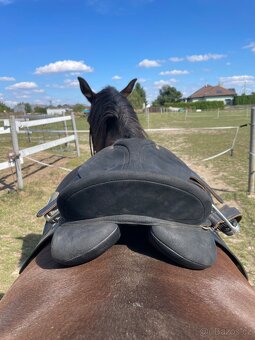 Sedlo Wintec 2000 - 3