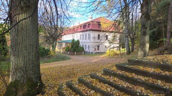 Velký dům + další, pozemek 9.376 m2 - 3