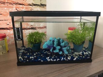 Akvarium Ante 9L - 3