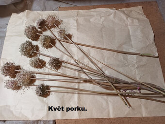 SUŠENÉ KVĚTINY - různé druhy rostlin č.2. - 3