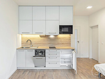 Pronájem bytu 2+kk se záhradou, 64 m2, Praha í - 3