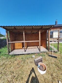 Prodej kotce pro psa. - 3
