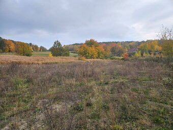 Prodej velkého stavebního pozemku - Máchovo jezero - 3
