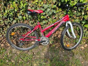 Dětské kolo vel.24 - 3