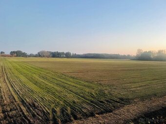 Veľký Pozemok 45 172 m² pri Malých Levároch - 3