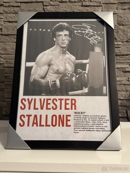 Obraz - Sylvester Stallone jako ROCKY - Vánoční AKCE🎄❗️ - 3