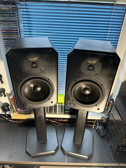 Cath Acoustic Victory - 3