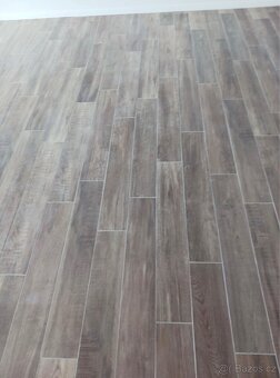 Poptávka práce - 3