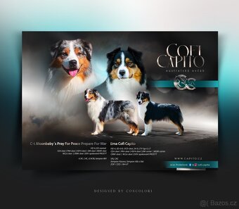 Australský ovčák - Nandor Cofi Capito - 3