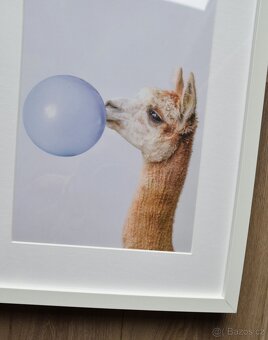 Dva obrázky v rámu Ribba Ikea - 3