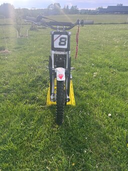 Beta 50 trial - 3