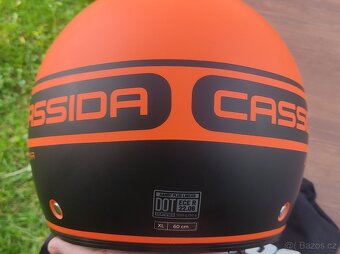 Helma Cassida - 3