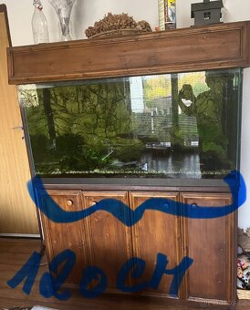 Rustikal akvarium - 3