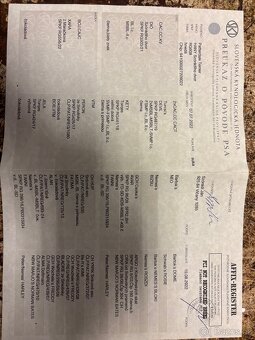 Patterdale teriér - 3