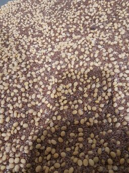 Extrudovaná sója, sojalen, pšenice,  ječmen, oves, proso, má - 3
