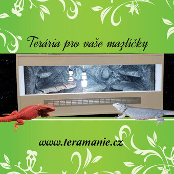 Terárium s 3D stěnou - 100x50x50 - 3