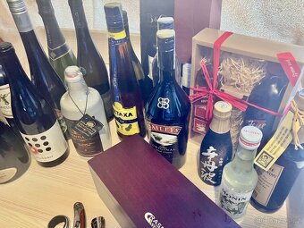 Starší lahve s alkoholem výhodně (-75 %) - 3