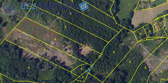 Prodej, les, 26720 m2, Rváčov u Hlinska - 3