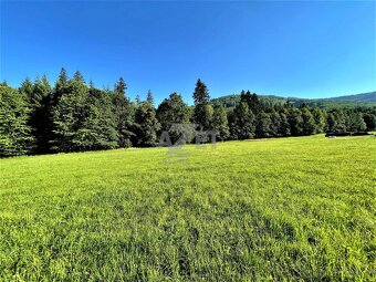 Prodej, stavební pozemek, 2726 m2, Košařiska - 3