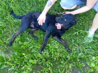 ÁRON K ADOPCI - přátelský akční parťák - 3