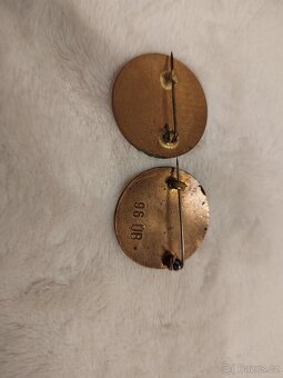 Odznak, smaltovaný Diplomovaná sestra. - 3