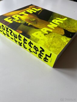 Kniha FATAL BANAL KRIŠTOF KINTERA - 3