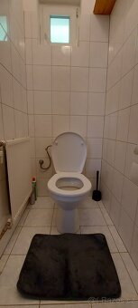 Apartmán Jáchymov Krušné hory - 3