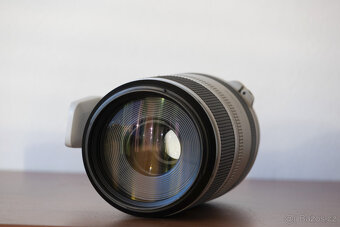 Canon RF 100-500mm f/4.5-7.1L IS USM - 3