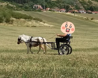 Sulka pro minipony - 3